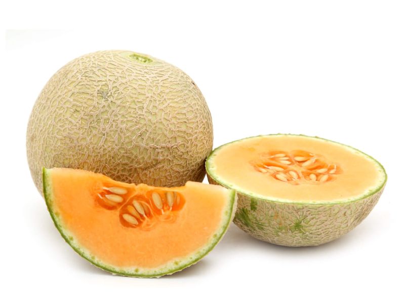 Muskmelon